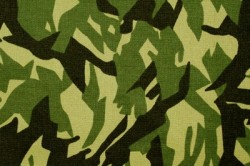 Иностранцев не подпустят к военной форме Иностранцев не подпустят к военной форме